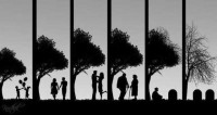 vita ciclo